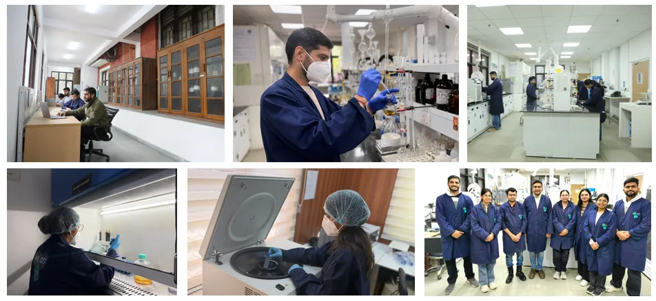 Rathi Research Group Collage