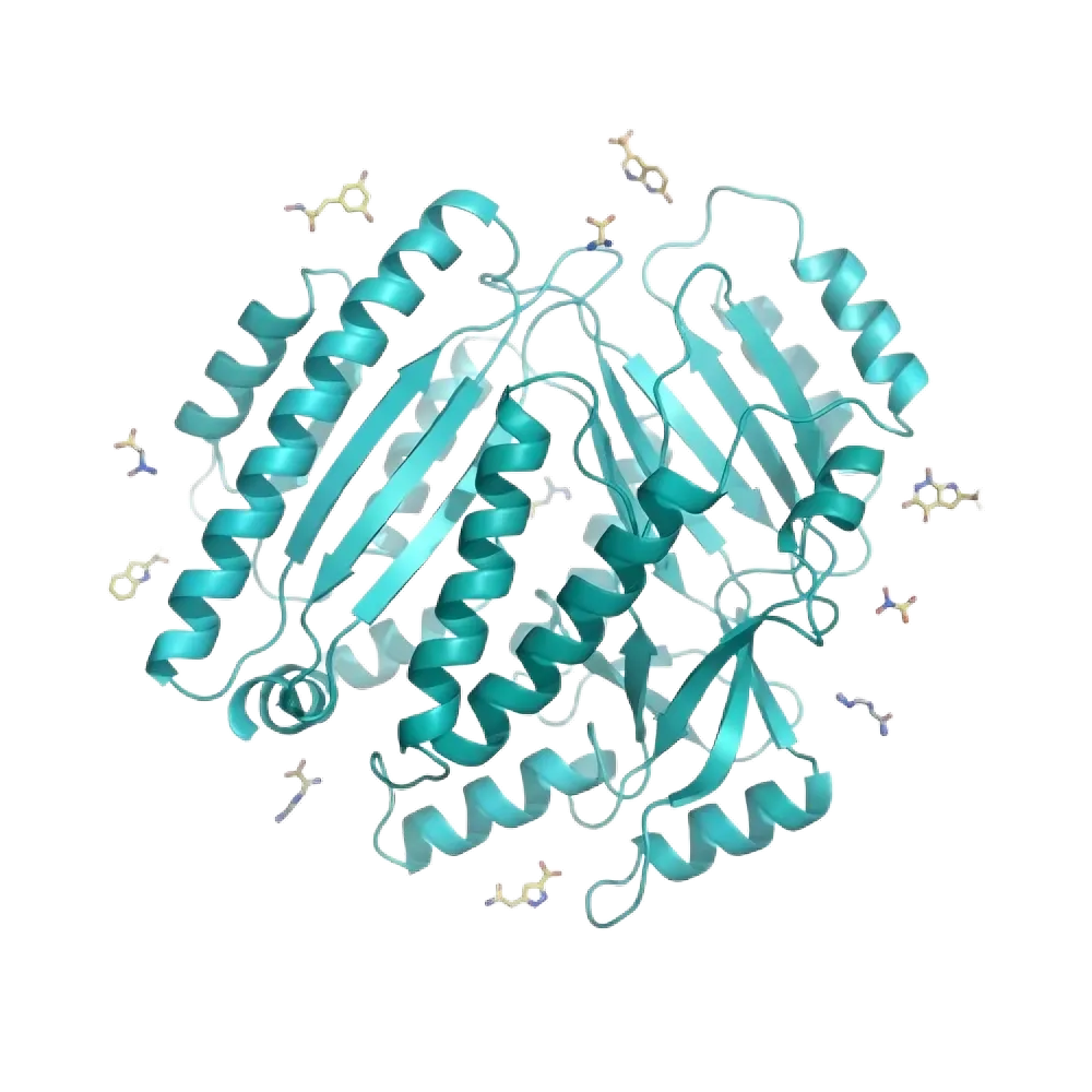 Ribbon Visualization